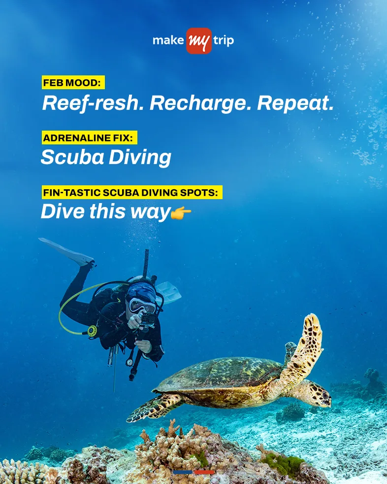 Dil Toh Roaming Hai!